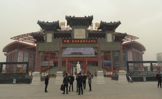 27.藥業(yè)公司總經(jīng)理杜海宇攜團(tuán)隊(duì)考察中藥材市場_副本.jpg